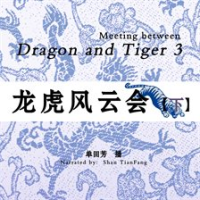 Meeting_between_Dragon_and_Tiger_3